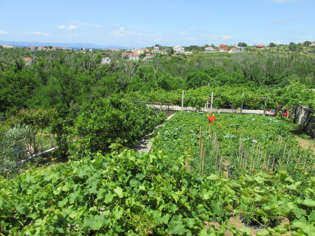 Apartmani Roza Lopar Exterior foto
